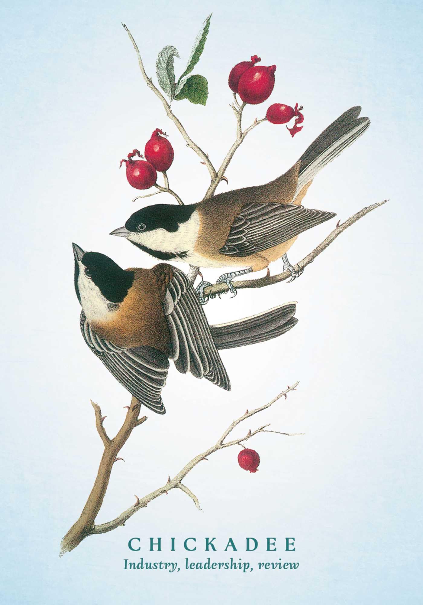 The Spiritual Meaning of Birds Oracle Deck: Discover the Wisdom & Insight of These Divine Winged Messengers