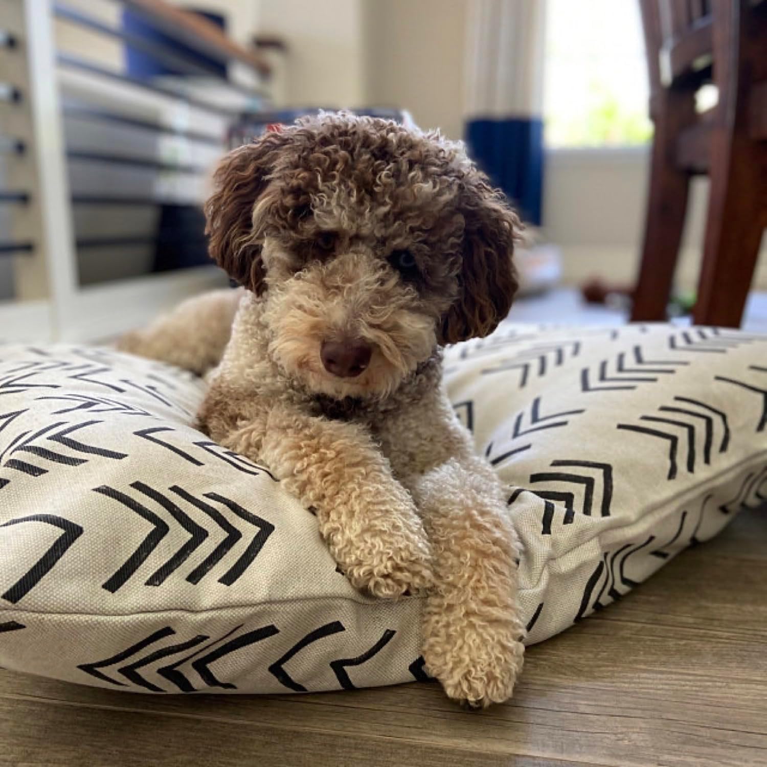 Modern Mudcloth Print Dog Bed Cover, Replacement Pet Bed Cover, Washable Removable Dog Bed Cover for Small to Large Dogs (Cover + SustainaFill™ Insert, 50"x40" XLarge)