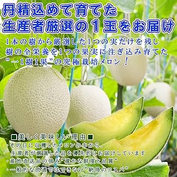 hinamama　静岡アールスメロン5玉 静岡 アールスメロン 6玉入