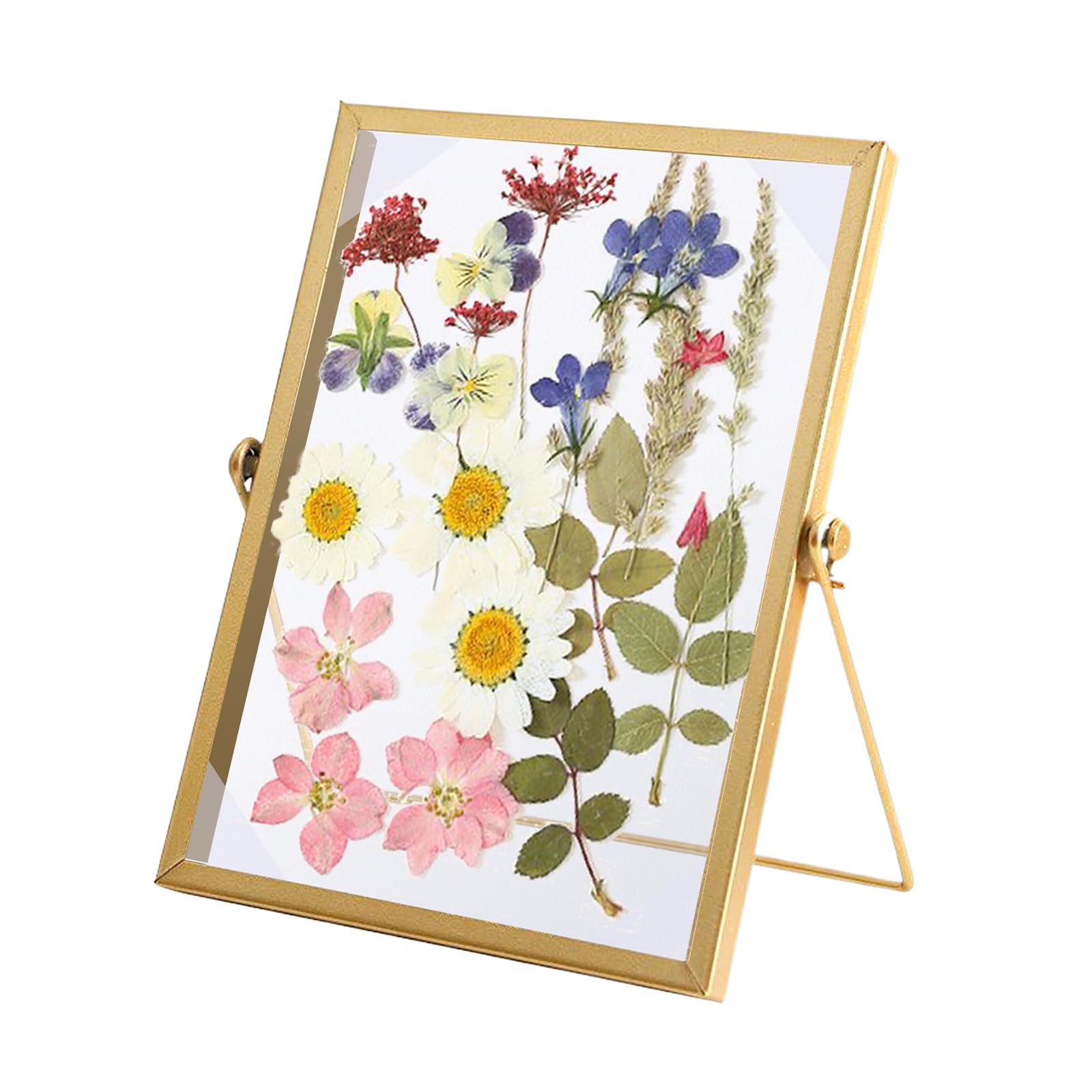 XQMMGO Picture Frame for Pressed Flowers - 15 x 20 cm, Double-Sided, Glass Frame for Dried Flower Artwork Display