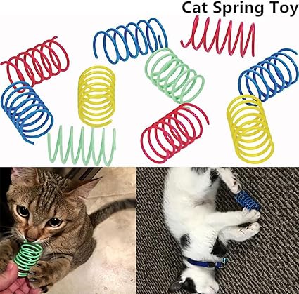 kitten accessories amazon