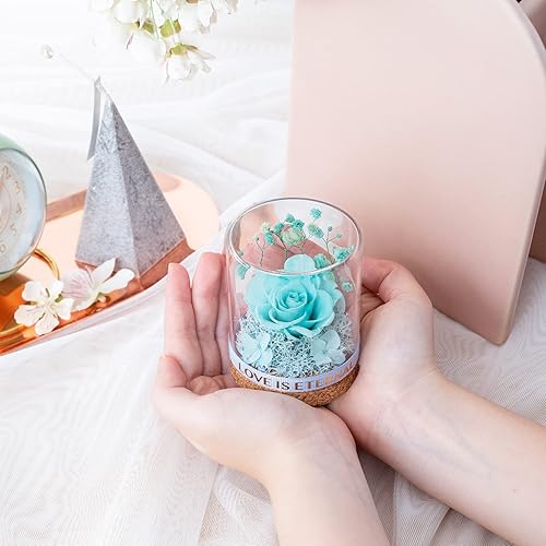 Miniatura 3 de Regalos de rosa real preservada para ella Forever Rose en cúpula de cristal regalos de rosa eterna para mujeres mamá en el día de San Valentín