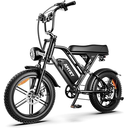 AMYET V9-G60 Electric Bike for Adults, 48V 20Ah(960WH) Ebike with Removable Battery, 20" Fat Tire E Dirt Bike,Dual Shock Absorber, Adults Electric Bike with UL 2849 Certificaed