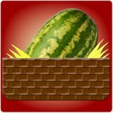 mccourtney road transfer station and recycling center Wacky Watermelon is a hit classic.