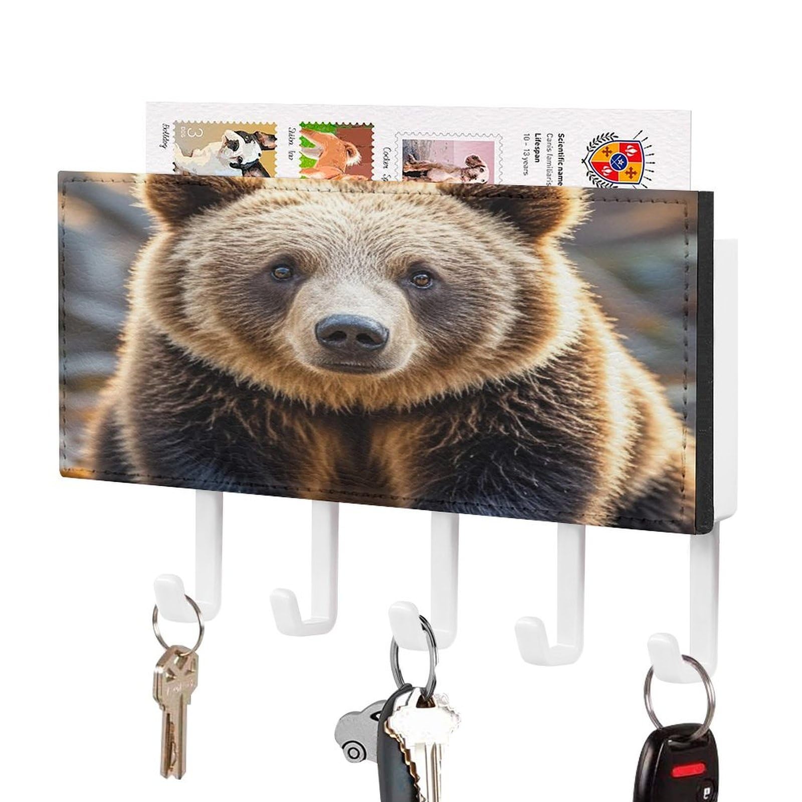 Soporte de pared para llaves de oso: soluciona el desorden en entradas sin taladrar
