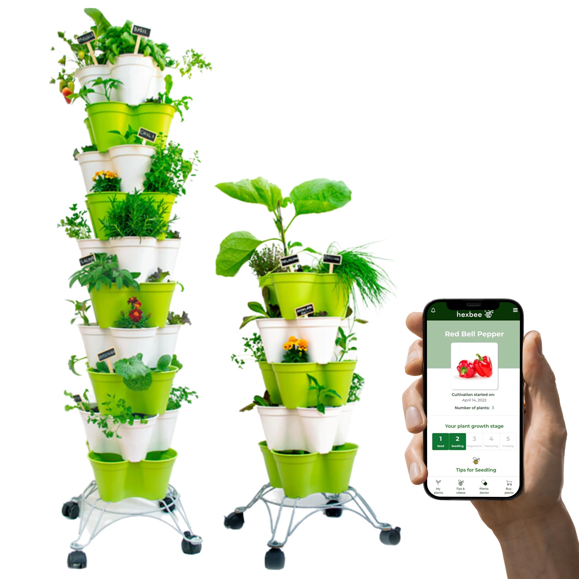 Kit de jardinería Hexagro Poty | Huerto vertical compacto y robusto para balcón o terraza | Sistema de riego inteligente y asistente de cultivo digital | Kit de jardinería completo