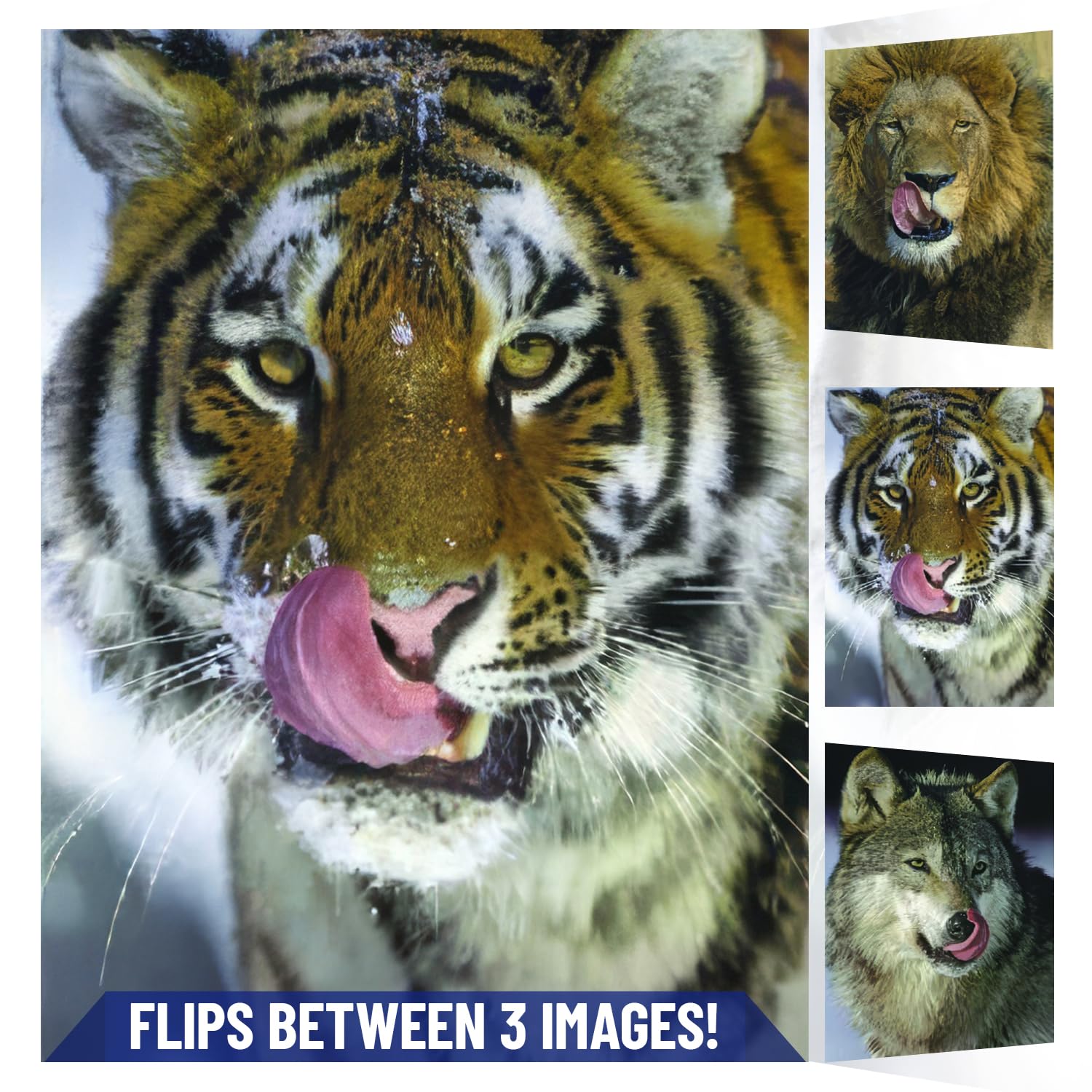 Amazon.com: Lion, Tiger & Wolf Tongue Out 3D Poster Wall Art Decor