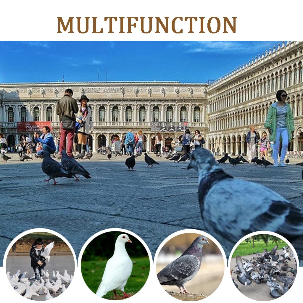 Jaula para pájaros Jaula para palomas con puerta de empuje y tracción, aviario para pájaros y palomas mensajeras, jaula para pájaros de bambú para mascotas, gallinero de granja familiar, caja nido pa