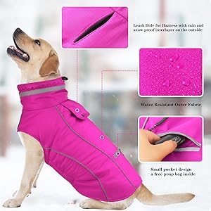 Doglay Waterproof Dog Coat, Reflective Dog Winter Jacket with Pocket & Turtleneck, Warm Puppy Snow Jacket for Small Medium Large Dogs - Pink, M