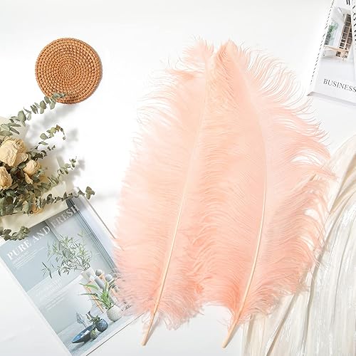 Miniatura 3 de AWAYTR Plumas de avestruz naturales de 14-16 pulgadas (13.8-15.7 in) para centros de mesa de boda, decoración del hogar, arreglos florales,