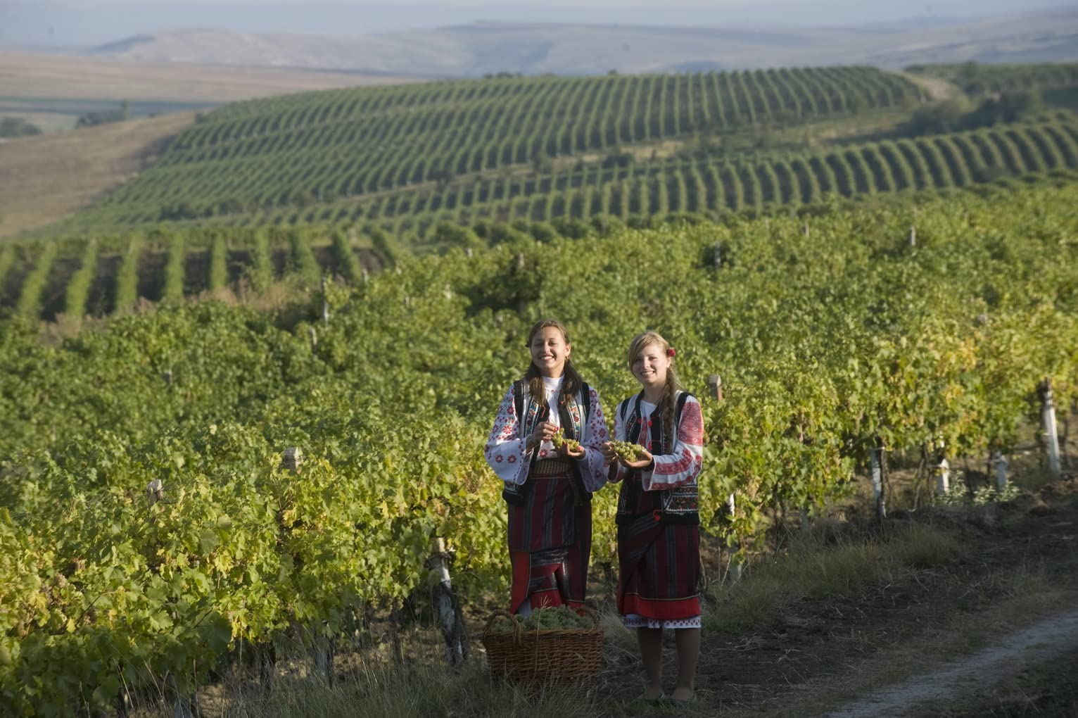 Cotnari | Tamaioasa Romaneasca – Rumänischer Weißwein süß | Weinpaket (6 x 0.75 L) DOC-CMD