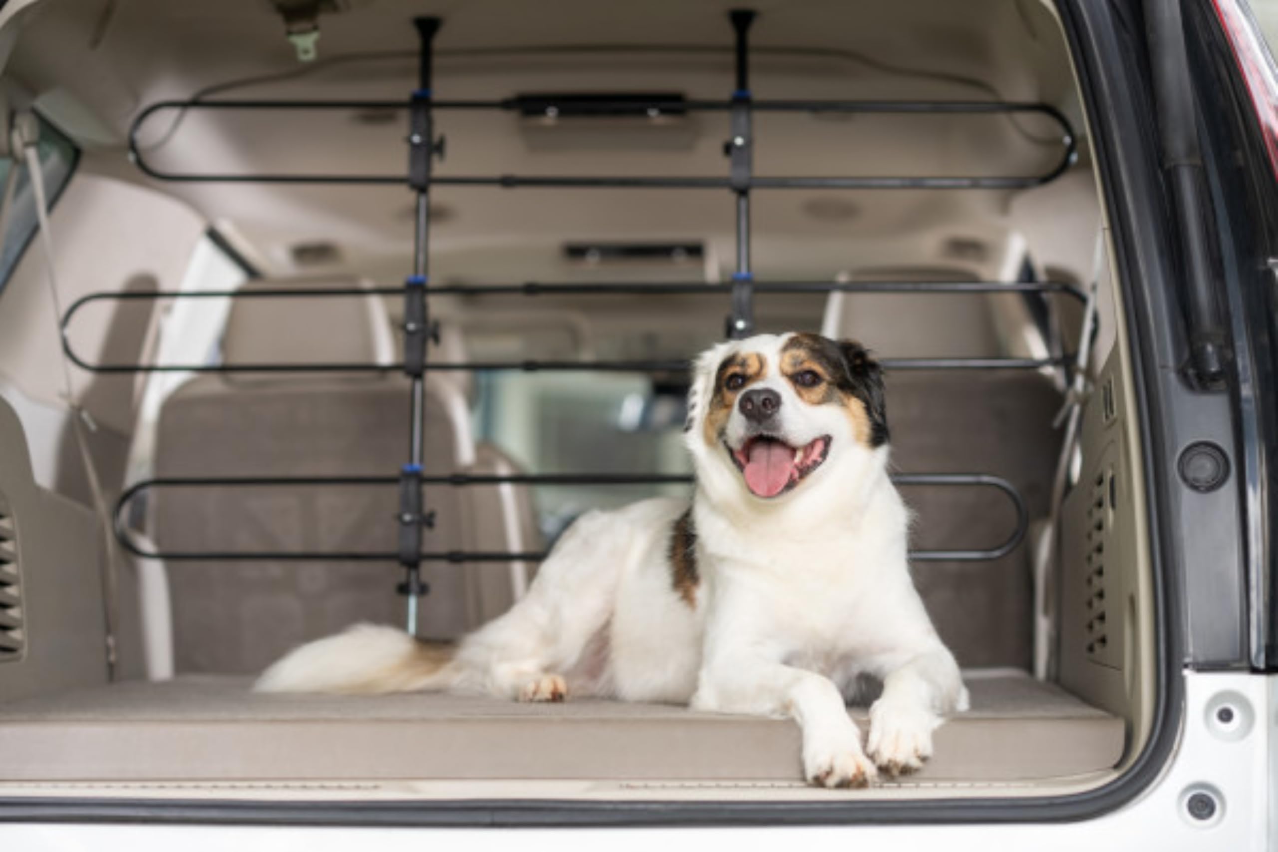 PetSafe Separador Metálico Happy Ride, Diseño Tubular Duradero Y Transparente 4510 g