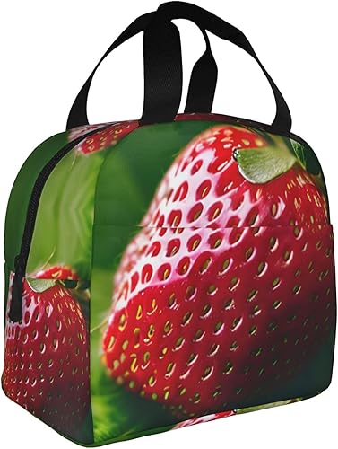 Miniatura 7 de Lonchera de trabajo, bolsa de almuerzo de viaje de fresa para mujeres y hombres, contenedor de almuerzo aislado reutilizable de gran capacidad