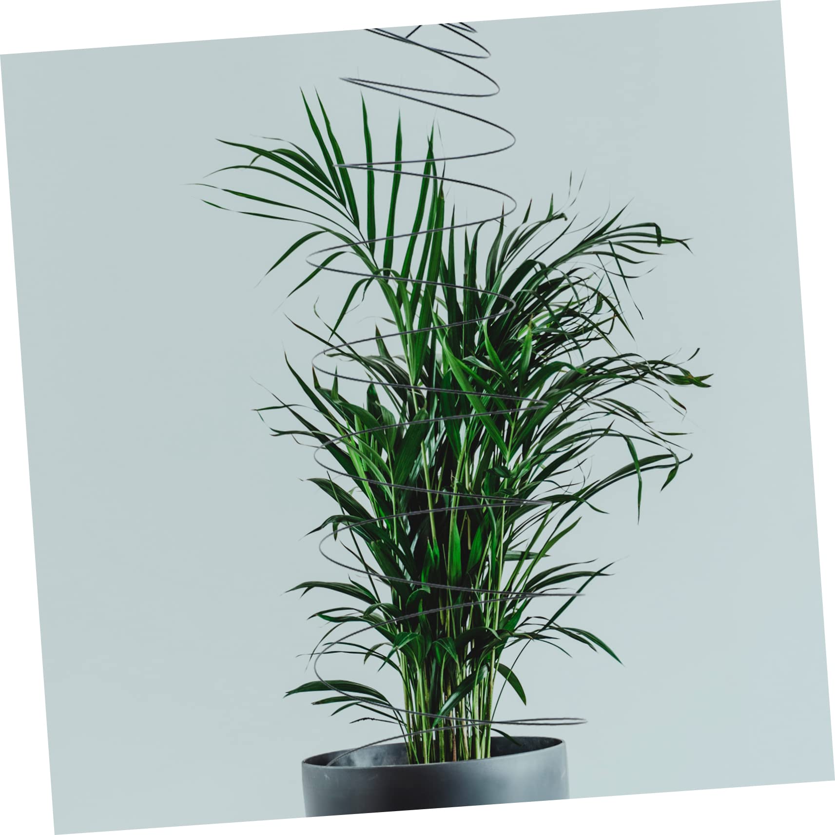 Support pour Plantes Grimpantes Spirale 2 Pièces en Acier Inoxydable Vert