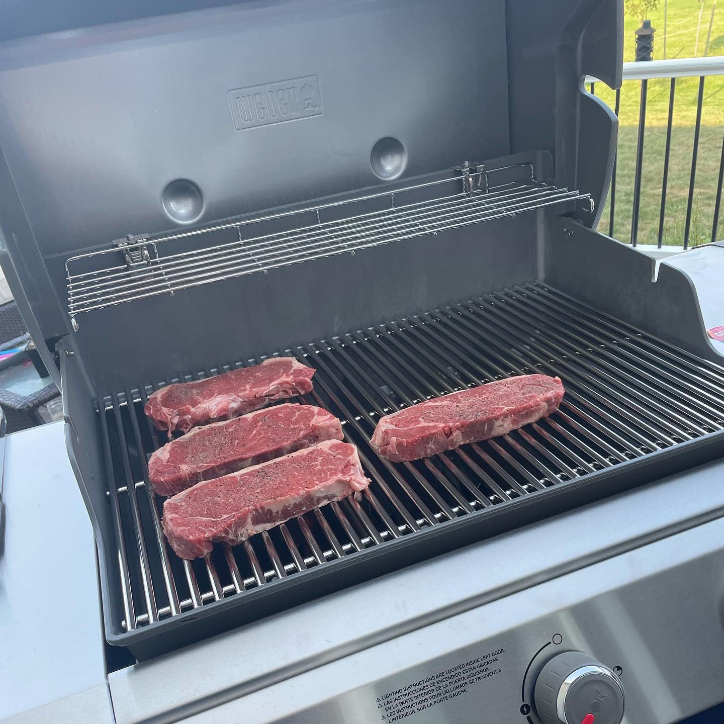 Weber Genesis DELSbbq Warming Rack For II 300 Gas Grills Genesis