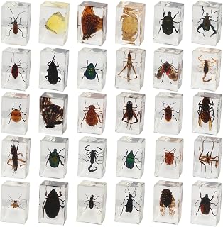 30 PCS Insect in Resin Specimen Bugs Collection Paperweights, Various Taxidermy Bugs Insect Preserved in Resin for Kids Scientific Educational Display Supplies