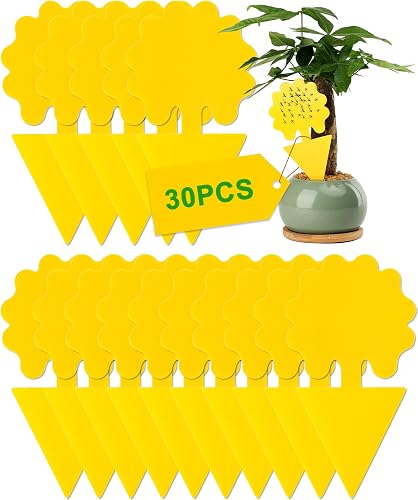 30 PCS Pièges à Insectes Acual