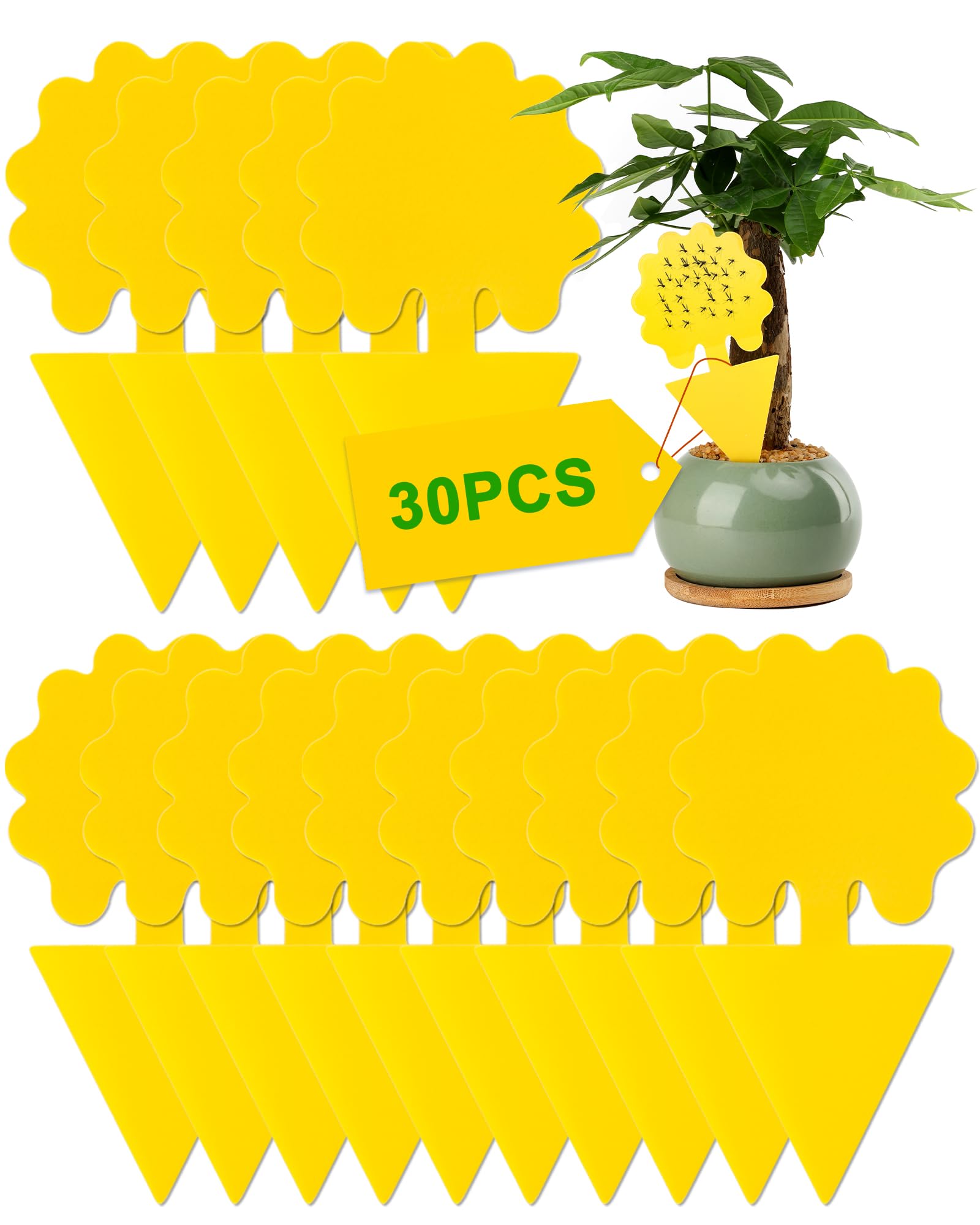 Acual Trauermücken Bekämpfen,Gelbtafeln Gegen,Gelbsticker trauermücken 30 Stück,Hochwirksame Fliegenfalle,Sicher Geruchlos Klebefalle,Fruchtfliegenfalle für Innen-Außenbereich, Pflanzen