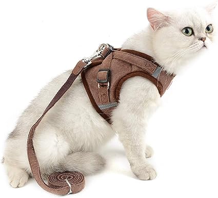 Selmai Harnais A Mailles Pour Chats Petits Chiens Pas De Traction Pas D Etouffement Rembourre Gilet Pour Chiot Laisse Laisse Pour Chaton Marcher En Plein Air Velours Cotele Reglable Marron M Amazon Fr Animalerie