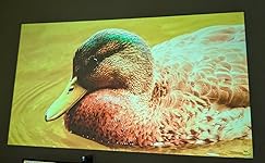 Review Image by Samiul I. Samiul I.