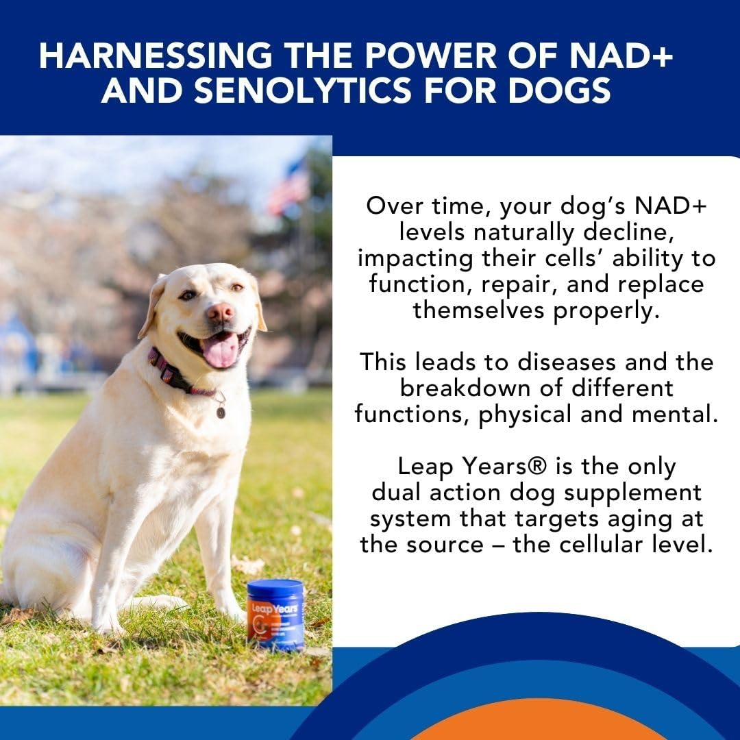 Soft Chew - Dog Supplement for Brain, Heart & Muscle Health, Supports Longevity, Veterinarian-Formulated with NAD+ & Senolytic, Patent-Pending Formula, 31 Chews, Small/Medium Breed
