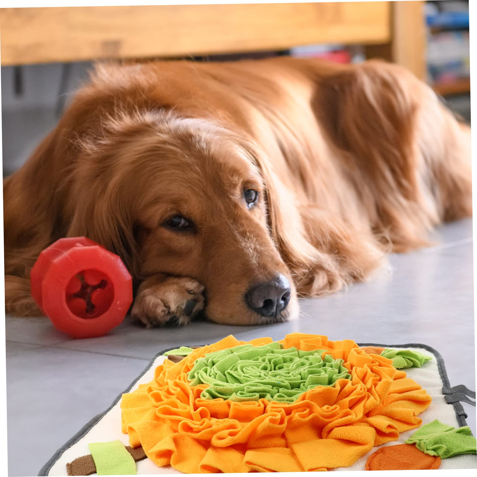 Tappetino Cani Tappetino Lavabile Per Addestramento Giocattolo Interattivo Nascondino Cibo Per Cuccioli E Cani Addestrare L'olfatto