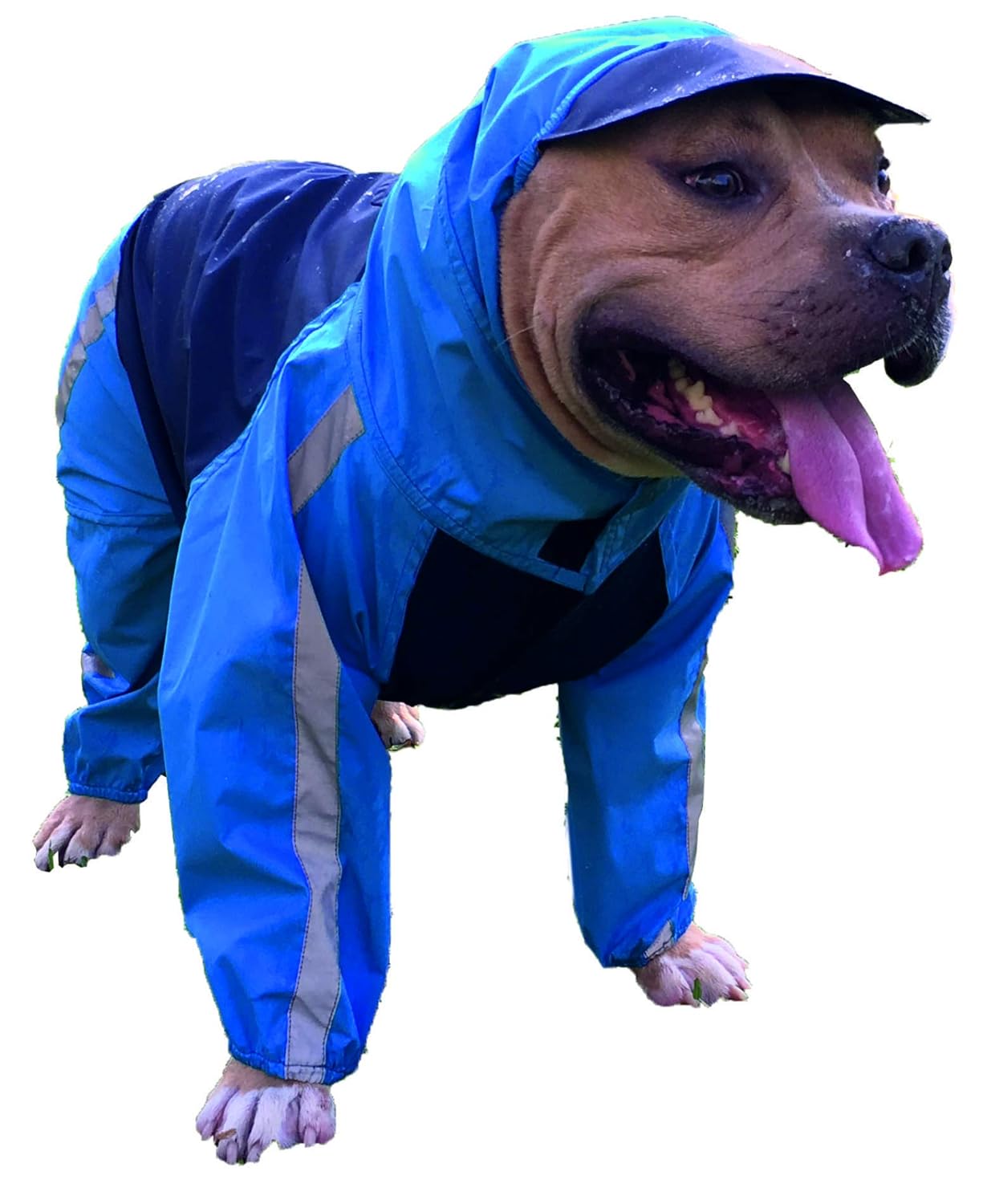 Doxters Full Coverage Dog Raincoat, Long Durability ToughCoat Size 34