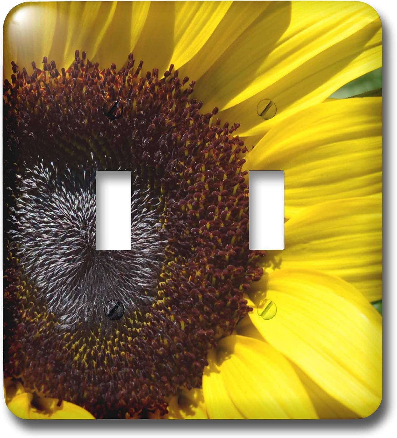 3dRose lsp_24895_2 Yellow Sunflower Double Toggle Switch