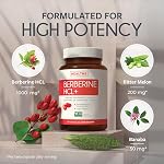 Bébérine 1000mg | Cholestérol sain, glucose & Métabolisme lipidique & Soutien à la santé cardiovasculaire - Supplément berbère à haute puissance avec Bitter Melon & Extrait de banane fabriqué au Canada 90 Ct