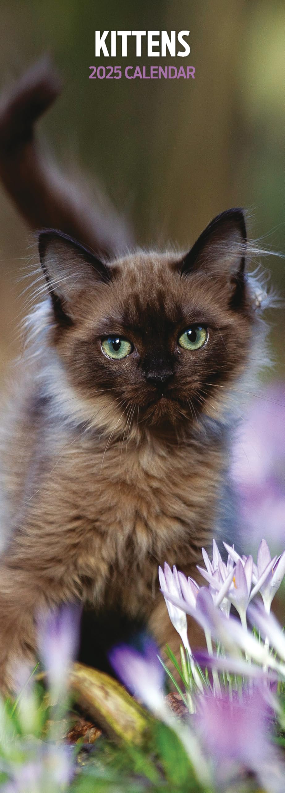 Kittens 2025 Slim Calendar