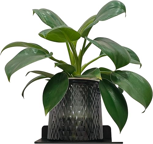 Miniatura 8 de Mini estante flotante de pared de 6 pulgadas, estante pequeño de aleación de aluminio de 0.118 in de grosor, almacenamiento negro montado en la