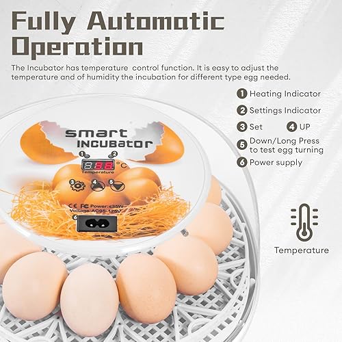 Miniatura 2 de Incubadora de 12 huevos, incubadoras para incubar huevos con giro automático de huevos y control automático de temperatura, huevos de aves de corral