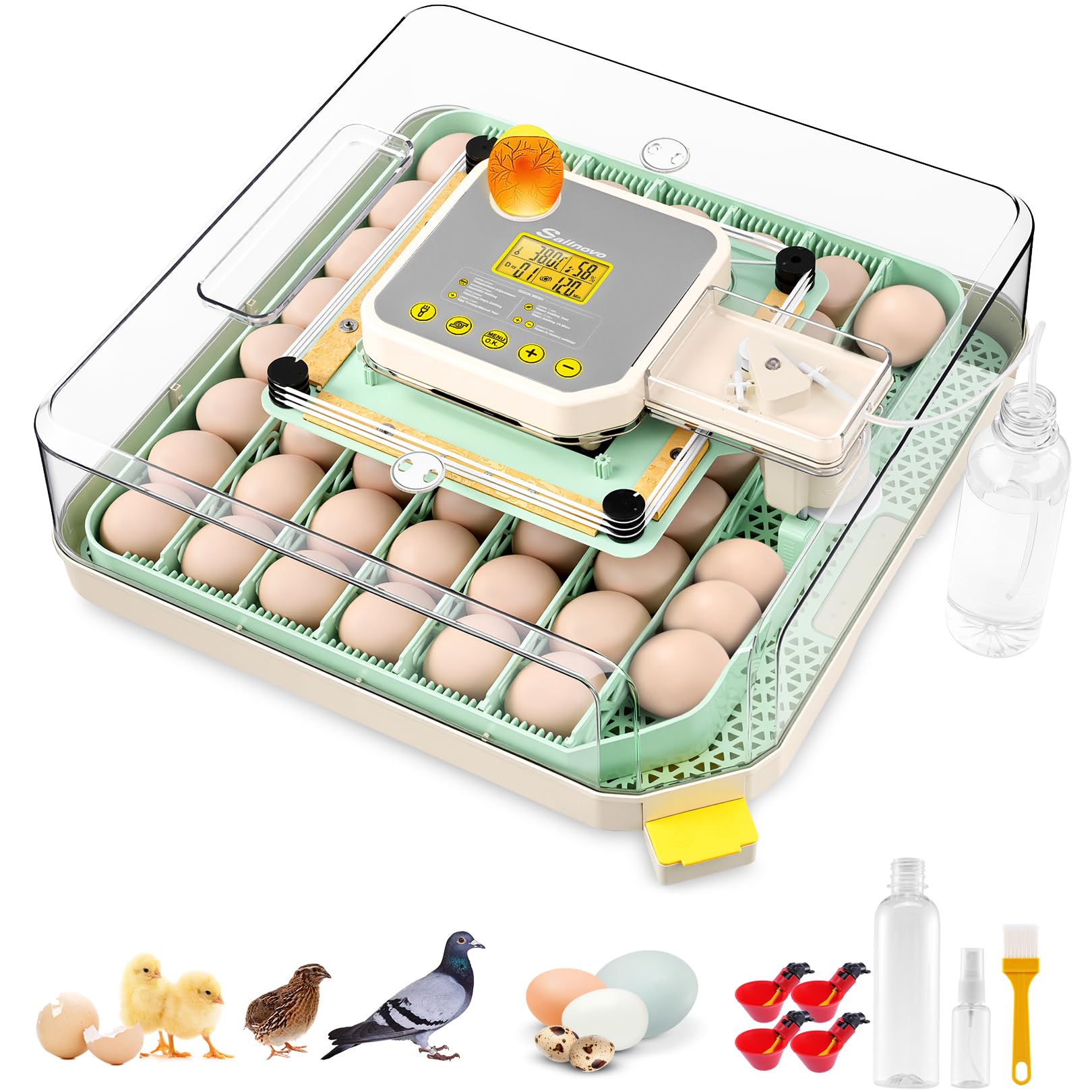 Sailnovo Couveuse pour 48 œufs entièrement automatique avec contrôle de la température et de l'humidité, rotation automatique - Incubateur d'œufs pour poulet, canard, caille - Pour la ferme, l'école
