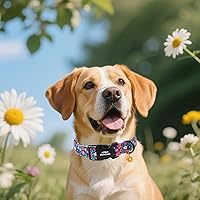 Vista 22 de Unique Style Paws - Collar rosa con hebilla de metal, duradero y lindo para perros pequeños a grandes