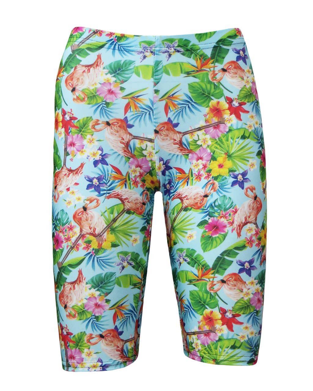 Insanity Clothing Retro Tropical Flamingo Flowers Floral Vintage Printed Cycle Shorts (S/M) Multicoloured