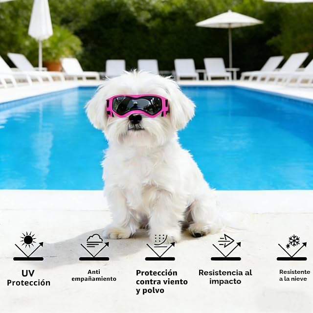 Foto 5 de 6 de Enjoying Gafas de sol para perro de raza pequeña, gafas con protección ultravioleta, para cachorros