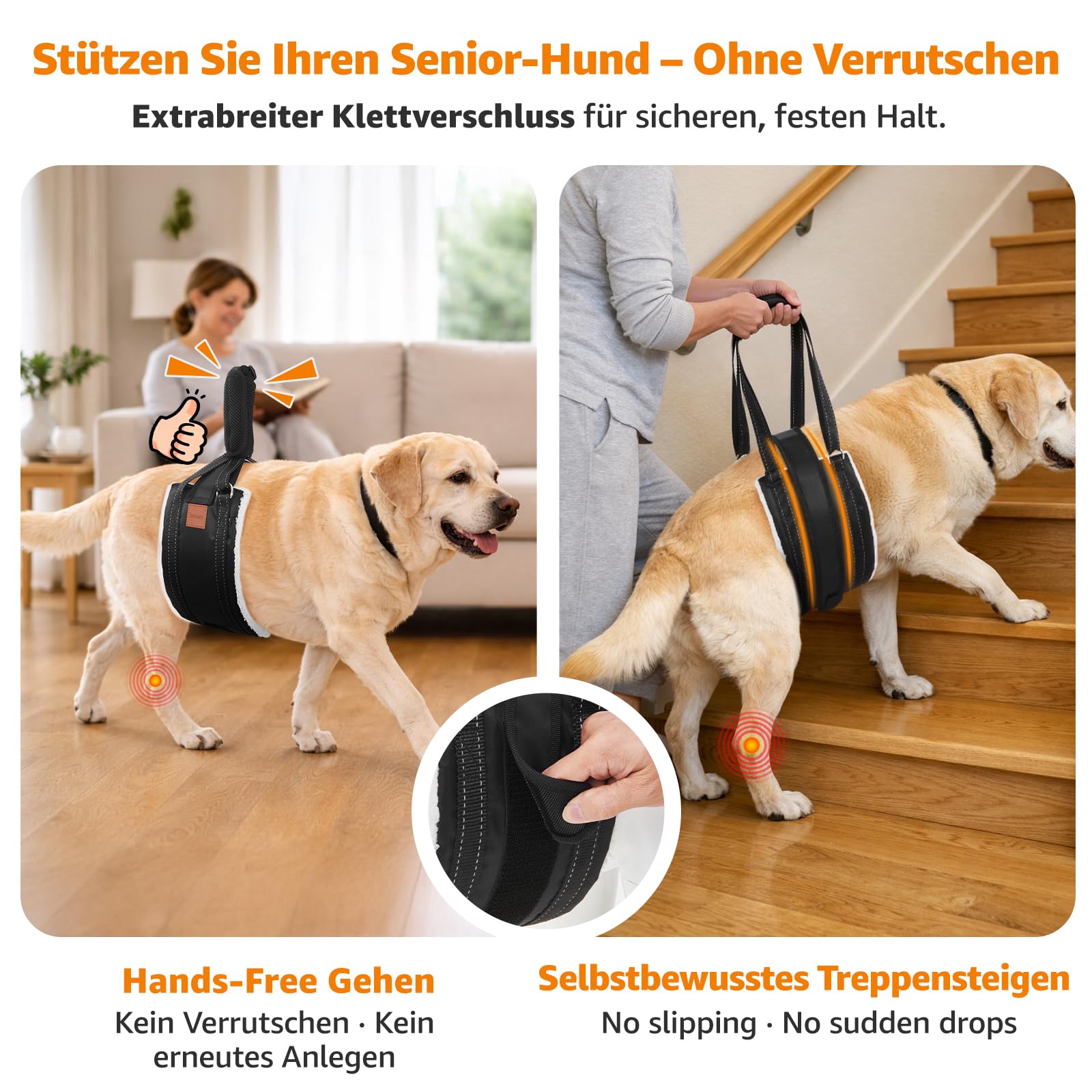 S ajustable perro transportador