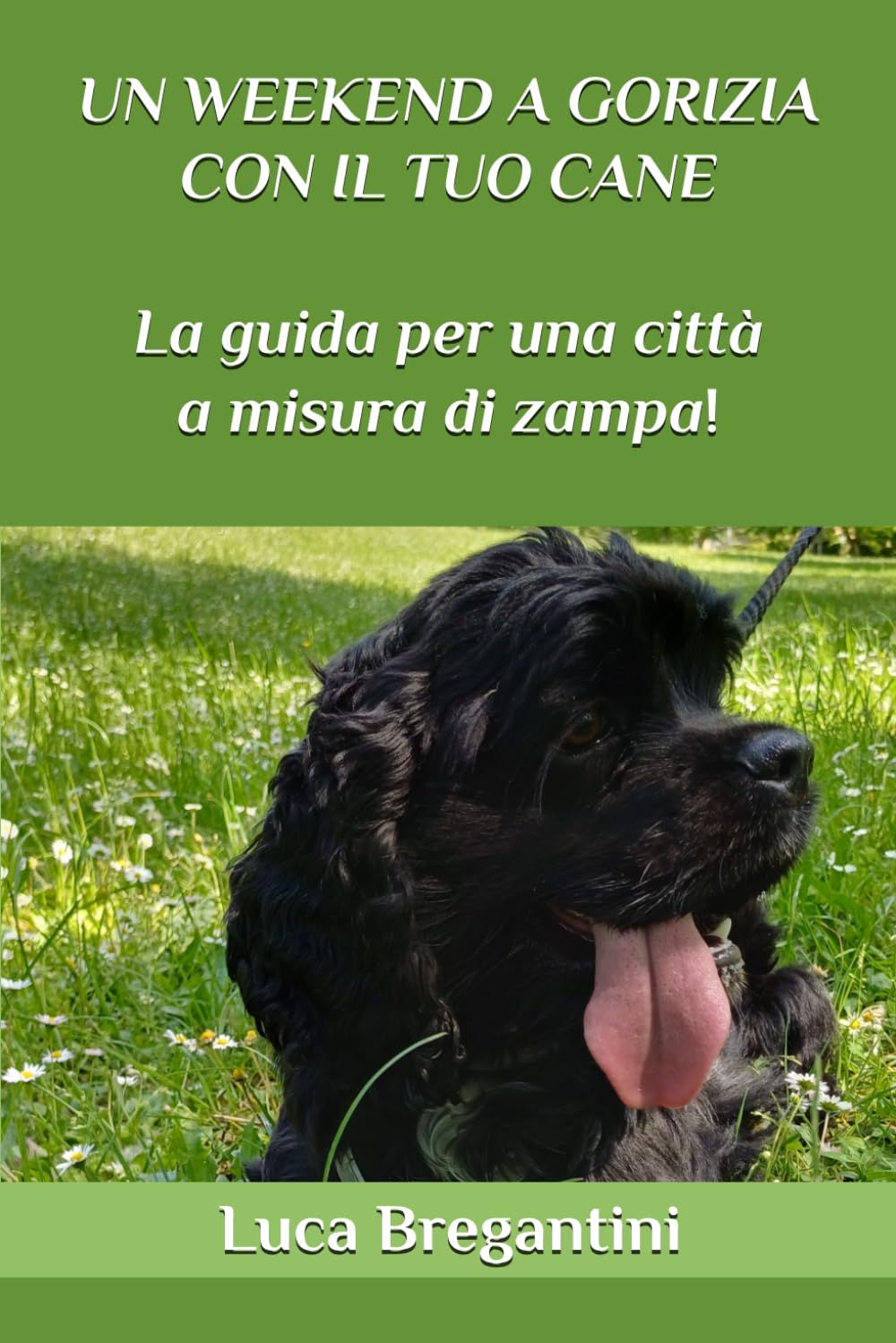 Un weekend a Gorizia con il tuo cane: La guida per una città a misura di zampa!