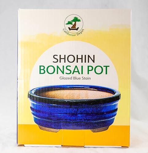 Miniatura 7 de Maceta ovalada Shohin para bonsái, cactus y suculentas + malla de 6 x 4.5 x 2.5 pulgadas, esmaltada con manchas azules