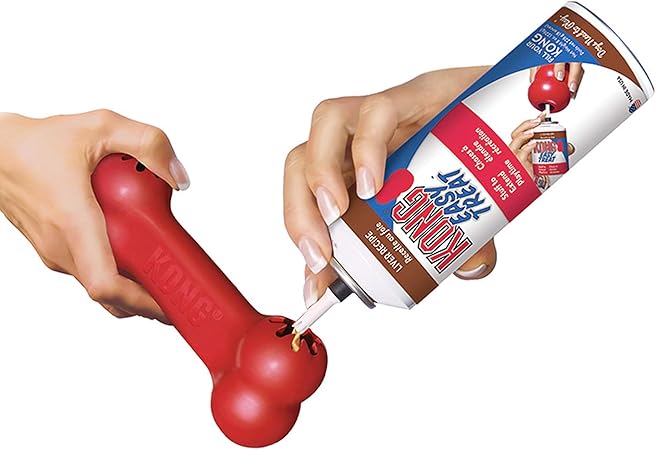 kong goodie bone medium