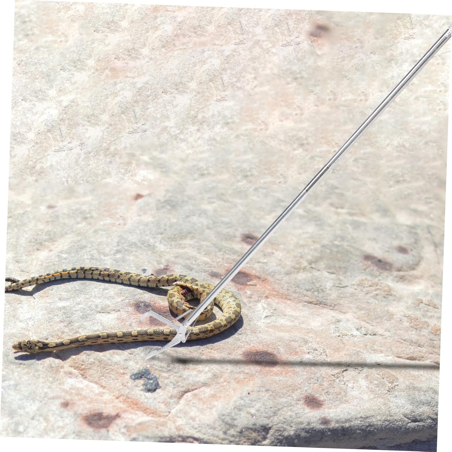 SUPVOX Stainless Steel Snake Tongs Safe Catching Snake Trap Clip Folding Clamp Reptile Tongs Clips Outdoor Tool