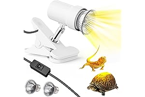 Reptile Heat Lamp: Essential Heating Solution for Your Scaly Friends