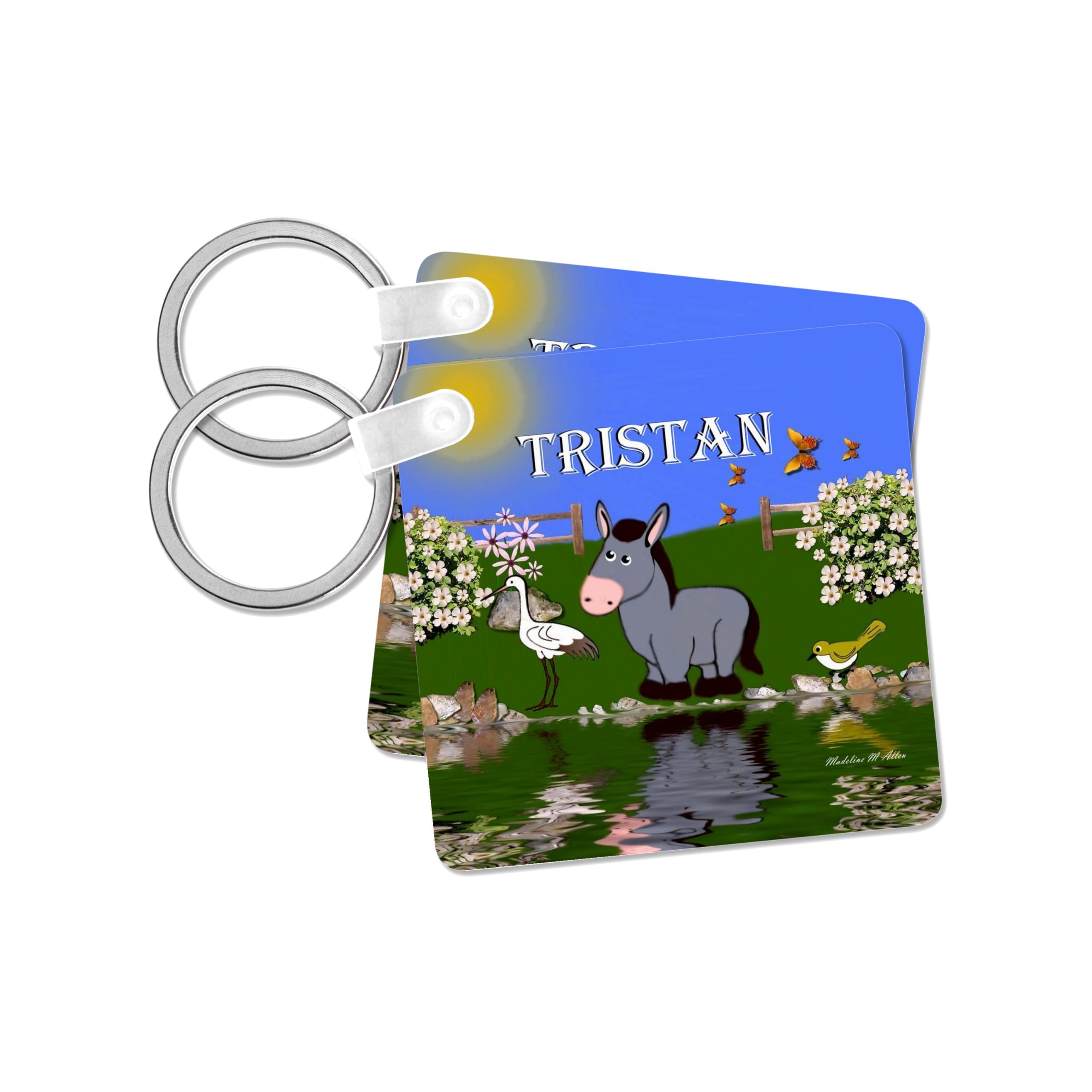 3dRose, Decorative donkey and bird art design for children - personalized with the name Tristan, set of 4 Key Chains
