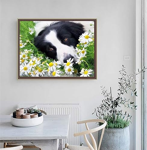 Miniatura 2 de IPISSOI Kit de pintura de diamante 5D para adultos y niños, perro Border Collie y margaritas blancas, kit de pintura de diamantes de taladro