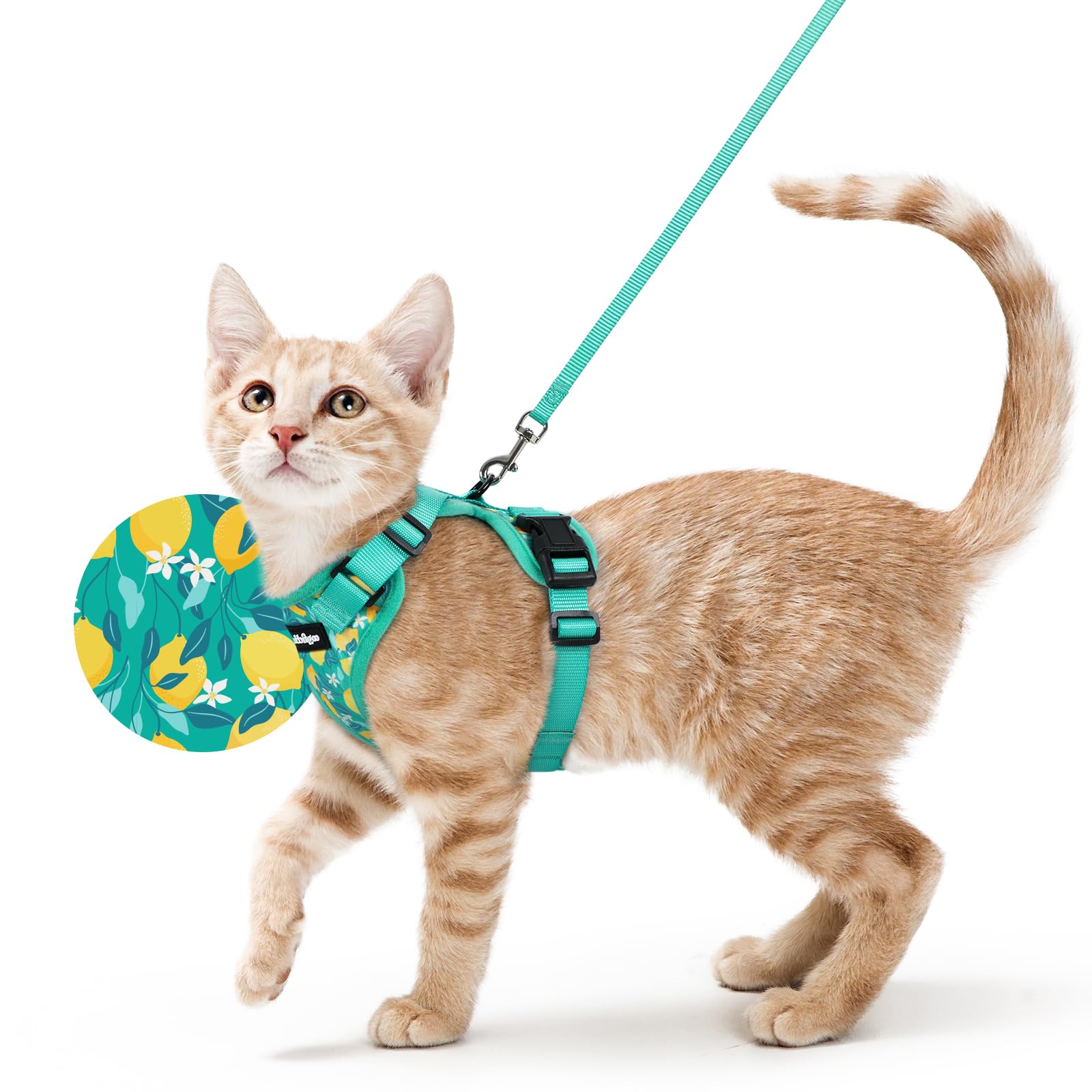 rabbitgoo Cat Harness and Leash Set, Escape Proof Vest, Lemon Grove