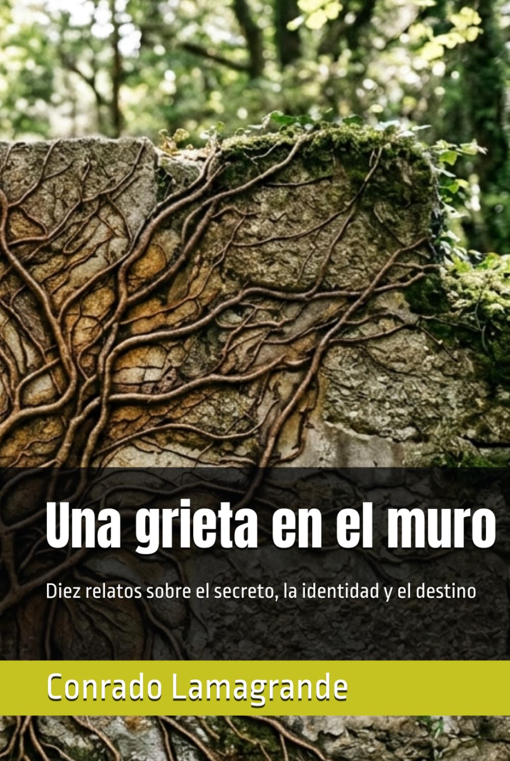 Una grieta en el muro: Diez relatos sobre el secreto, la identidad y el destino