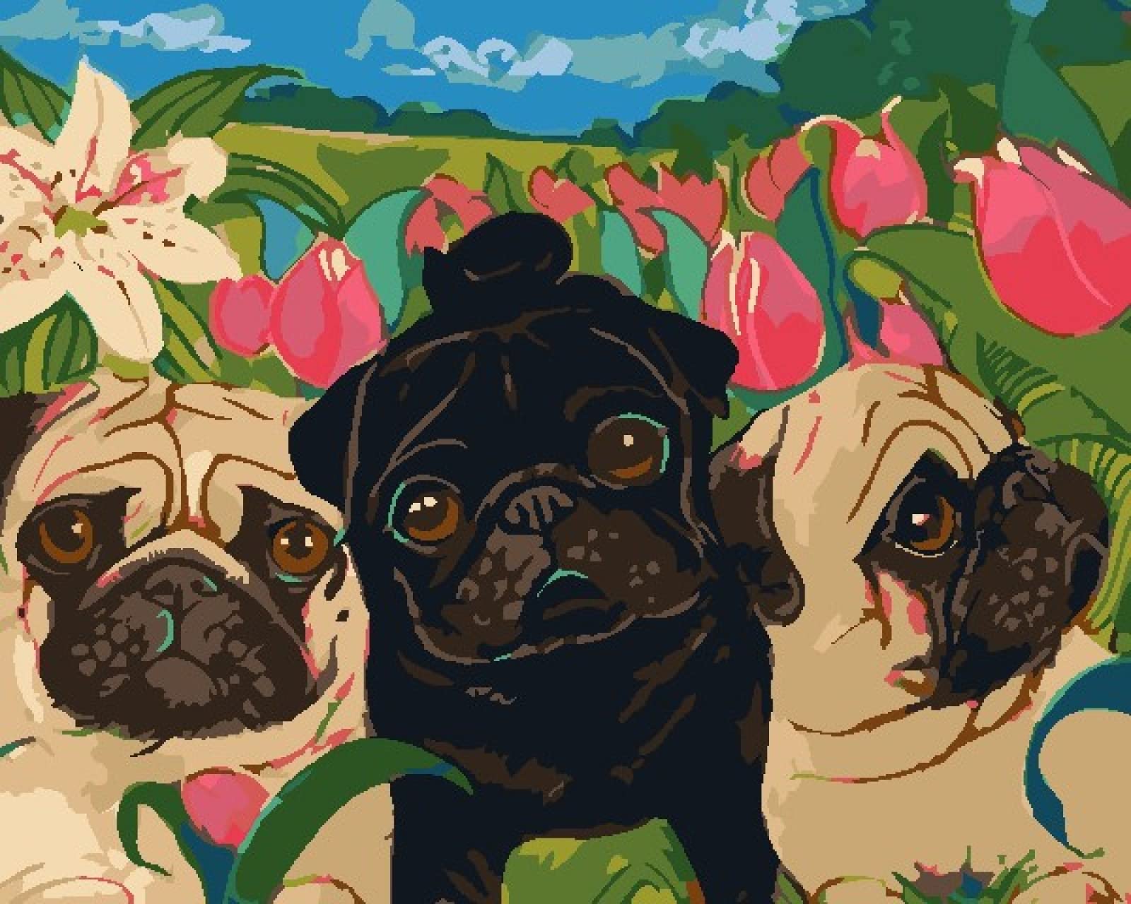 Peinture au diamant 5D chiot et fleur complet 30x40 cm - 8