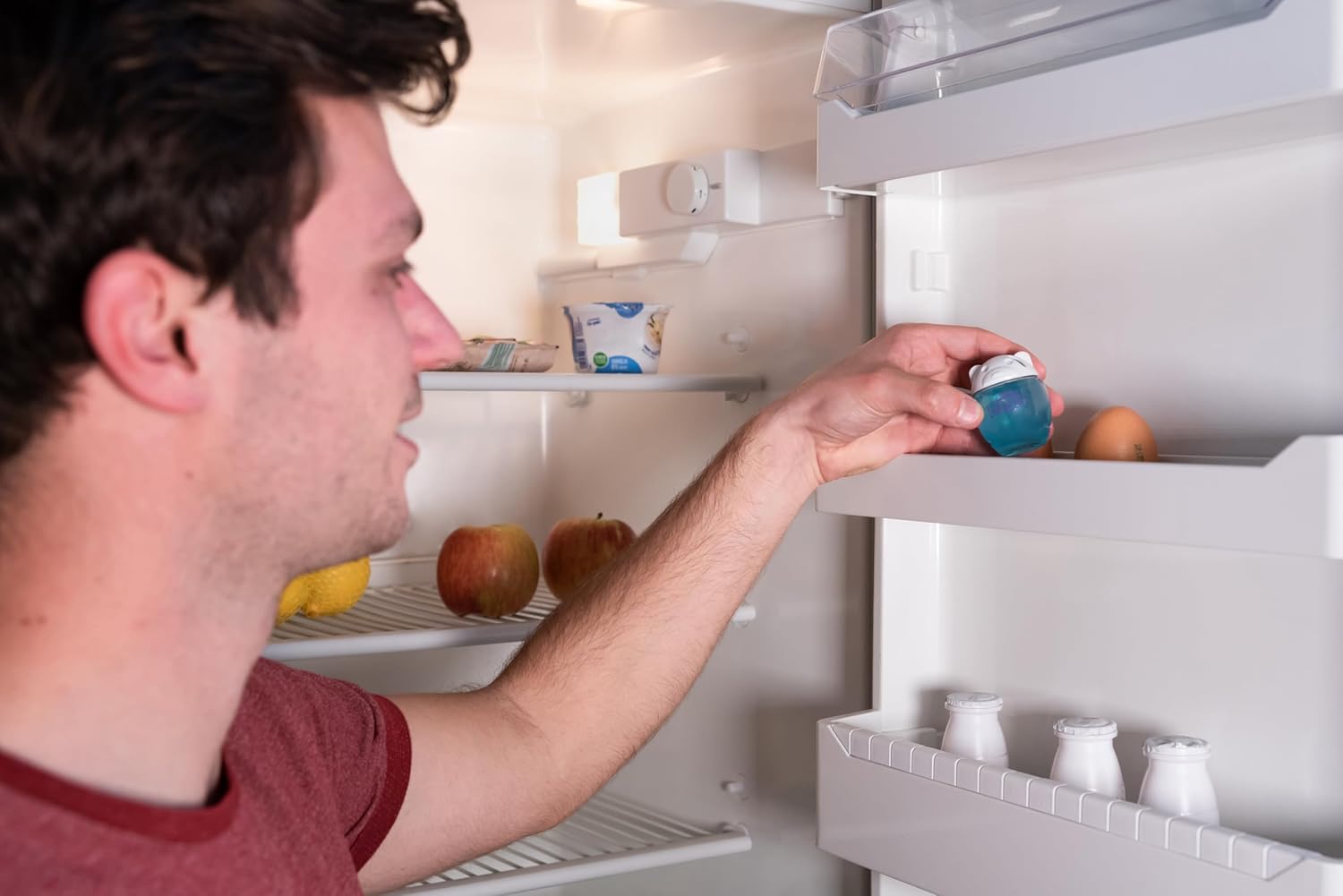 Keeping a Fridge Fresh