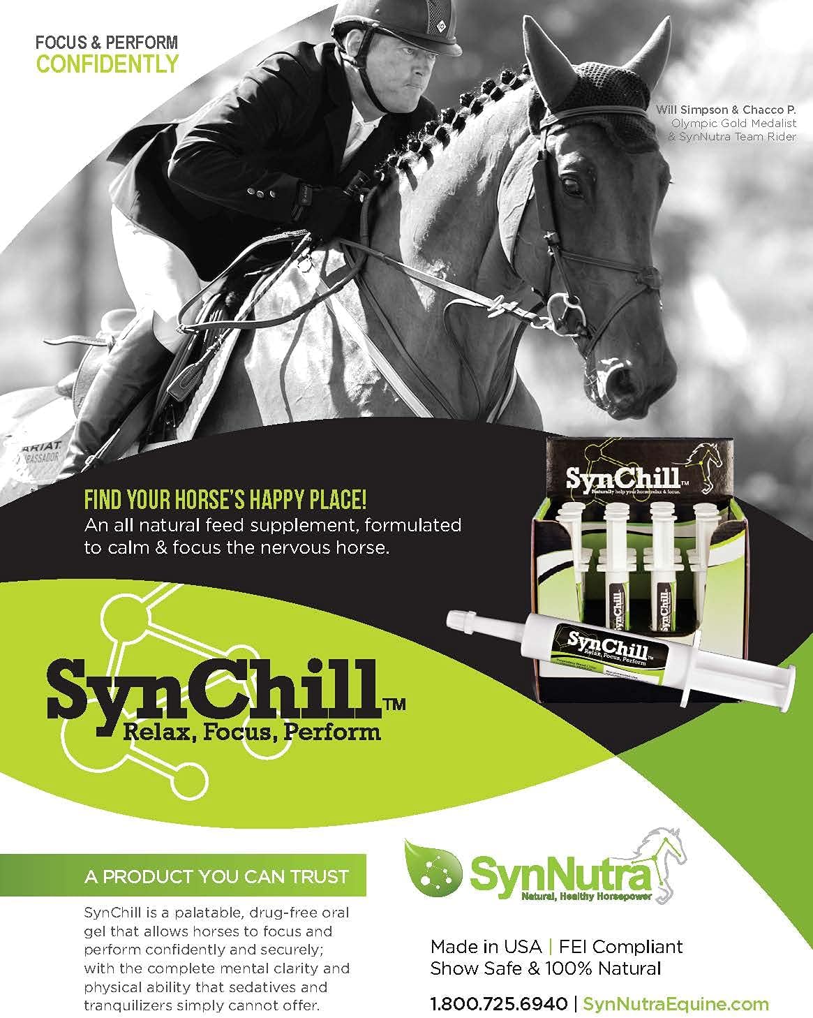 SynChill Oral Horse Calming Gel (Box of 12) : Pet Supplies