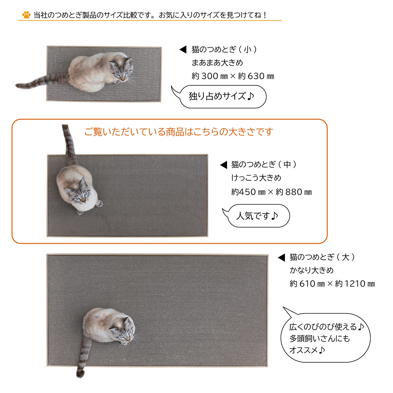 Amazon | 猫のつめとぎ（中） 【けっこう】おおきめサイズで2枚入り 